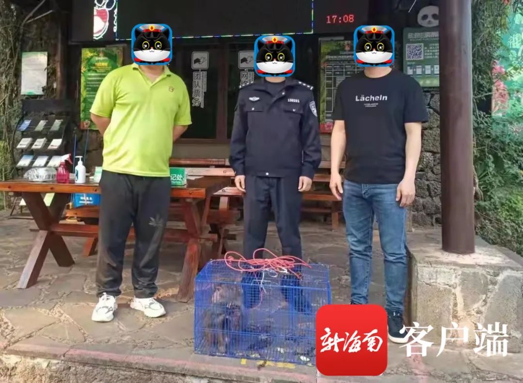 圖片